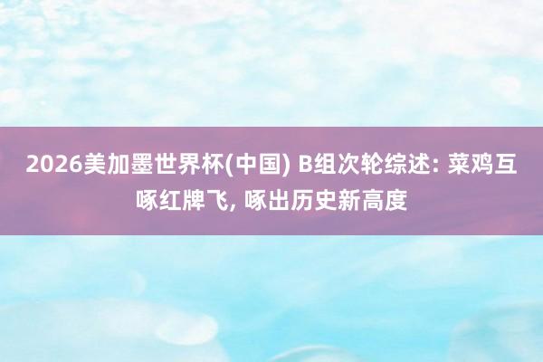 2026美加墨世界杯(中国) B组次轮综述: 菜鸡互啄红牌飞, 啄出历史新高度